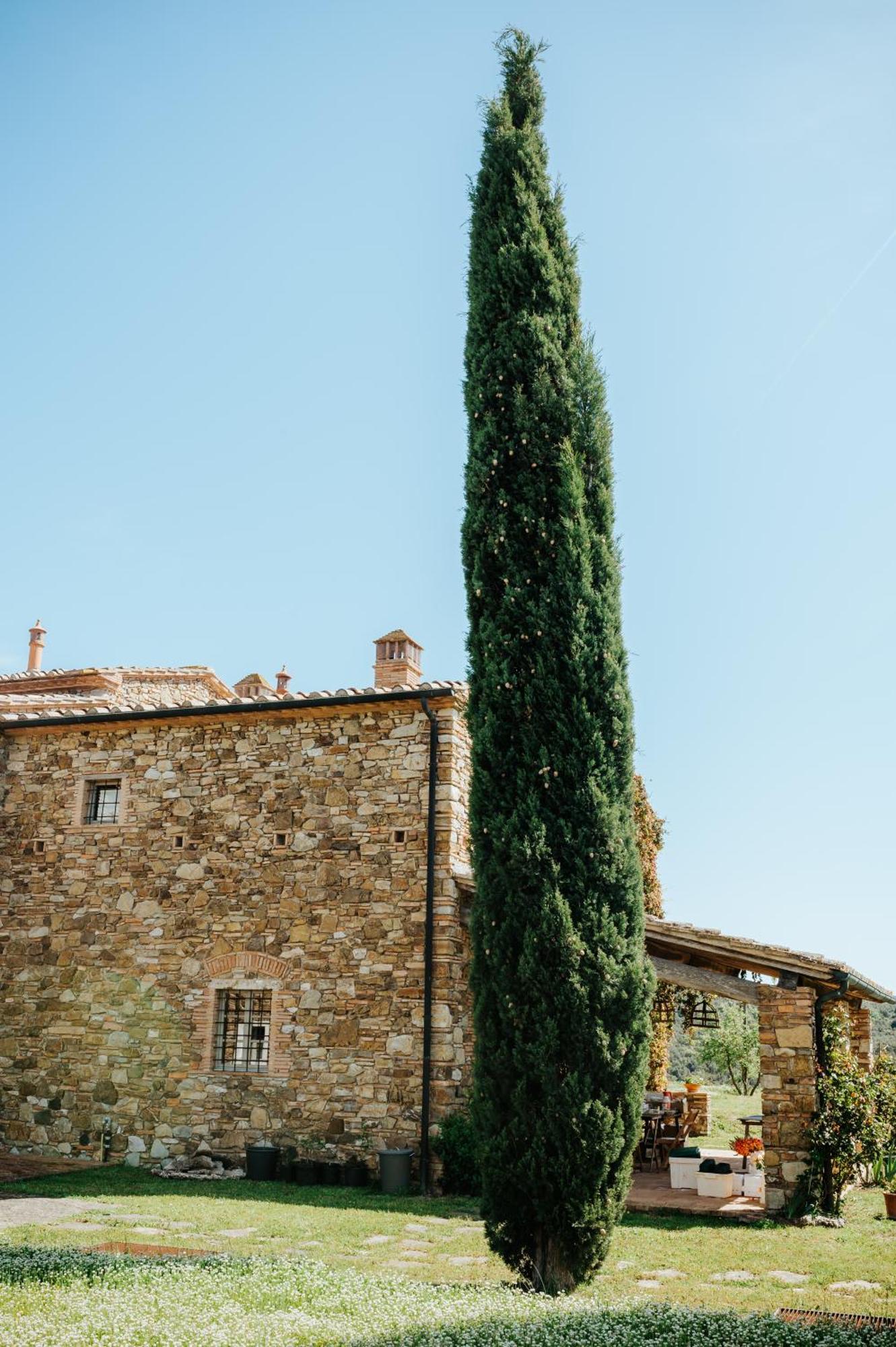 Villa Le Moraiole Massa Marittima Esterno foto