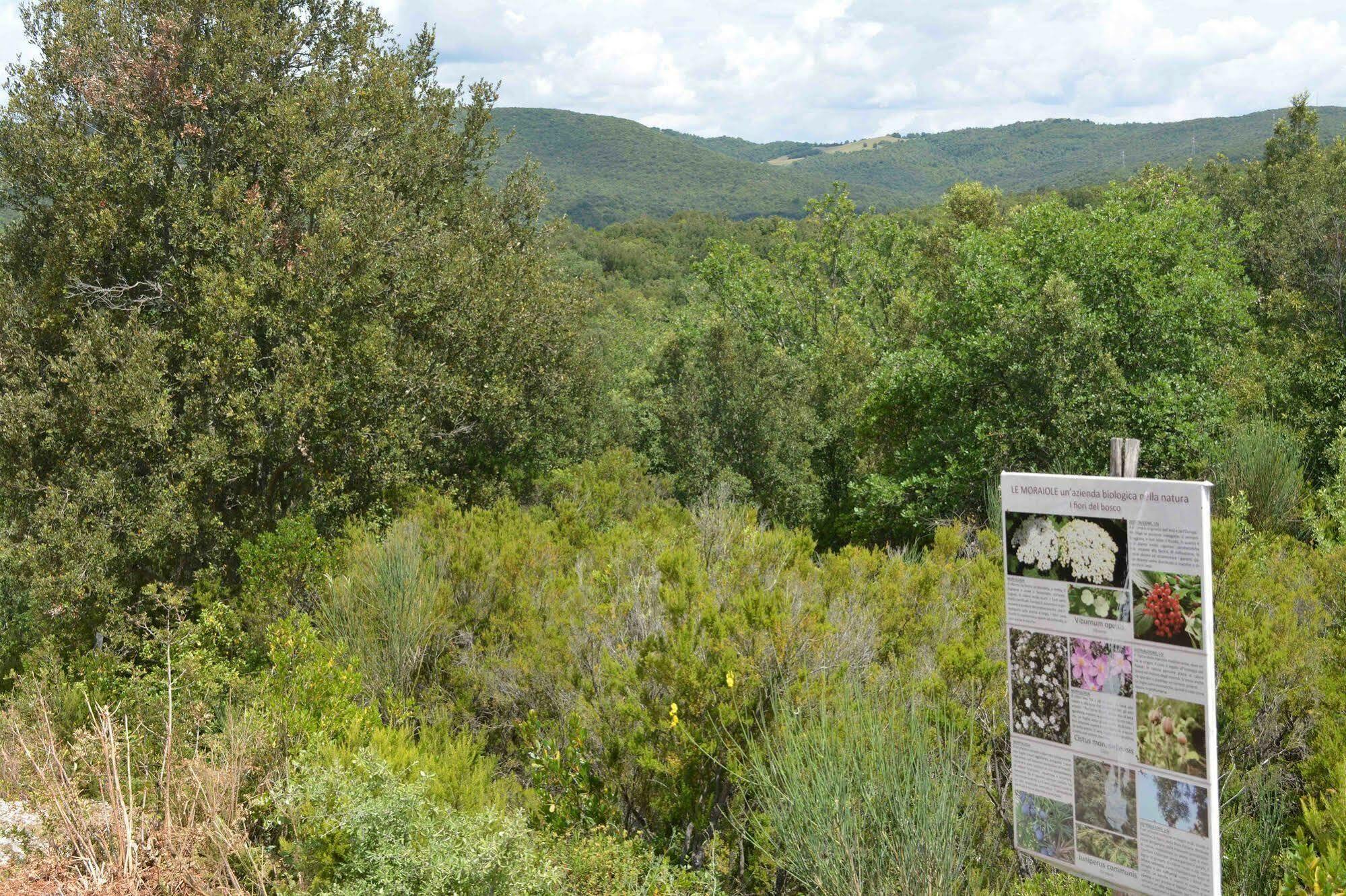 Villa Le Moraiole Massa Marittima Esterno foto